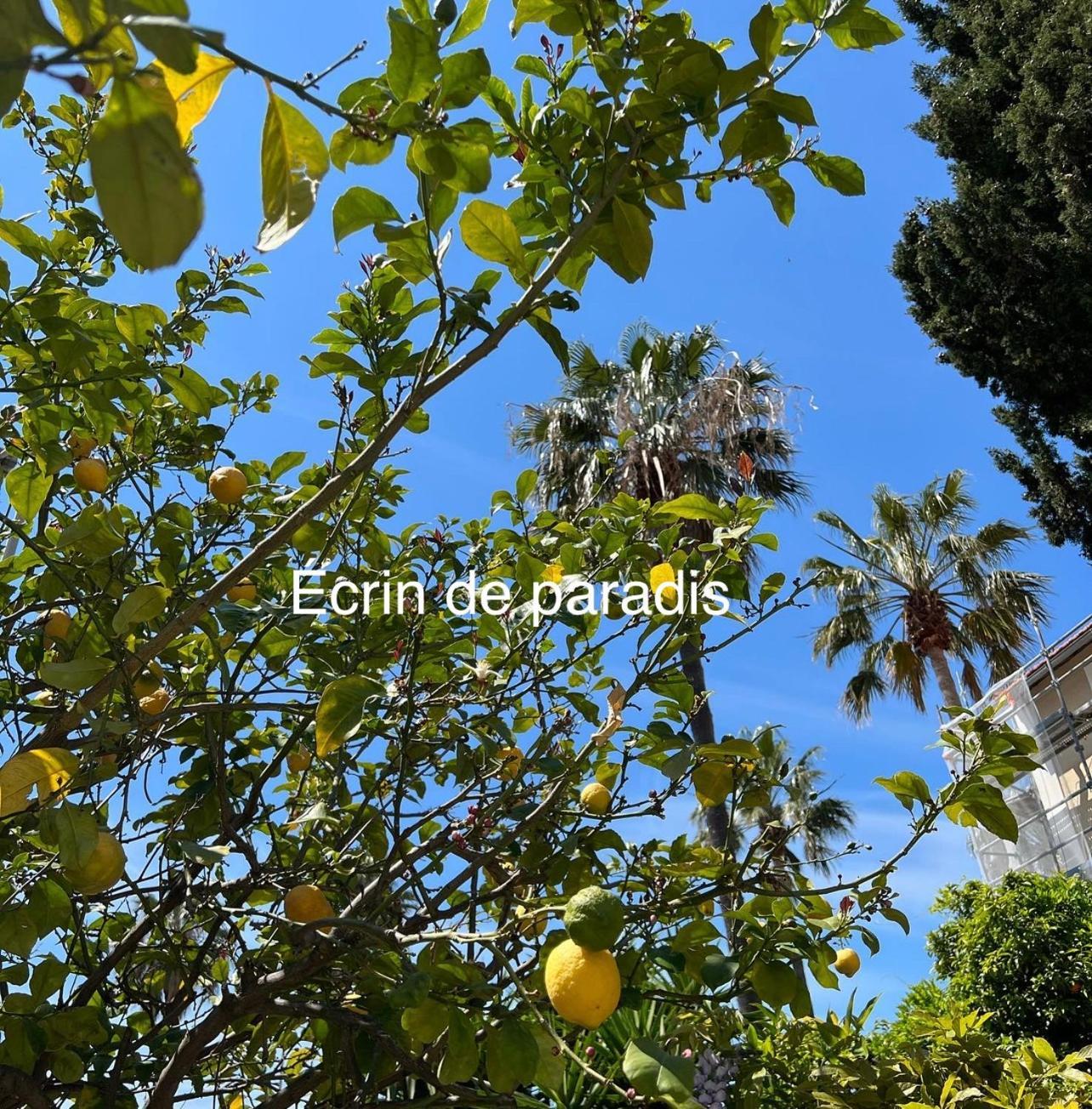 Casa Andrea Appartement Tout A Pied Avec Grand Jardin Sanary-sur-Mer Εξωτερικό φωτογραφία