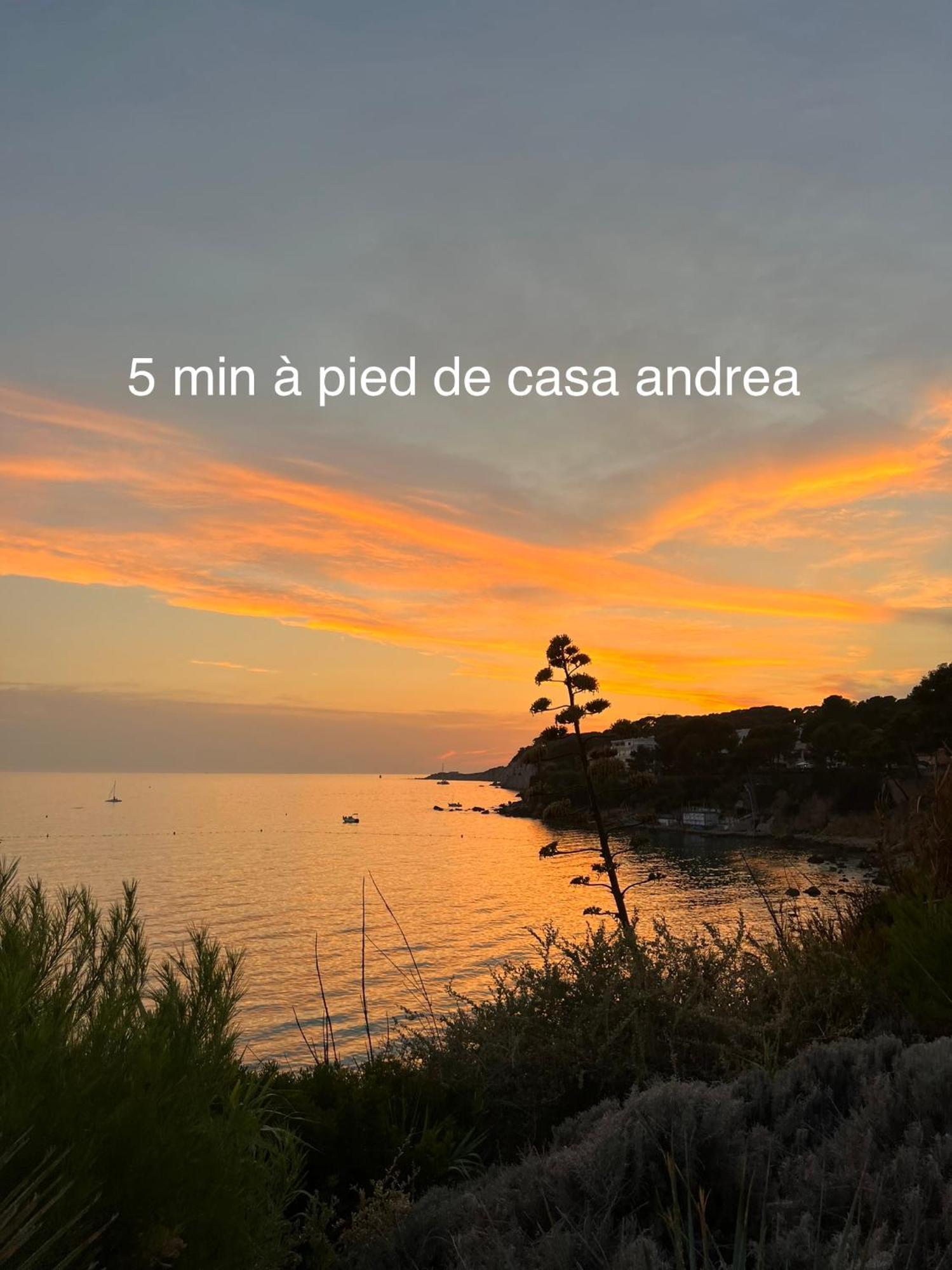 Casa Andrea Appartement Tout A Pied Avec Grand Jardin Sanary-sur-Mer Εξωτερικό φωτογραφία